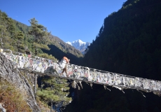 swing-bridge